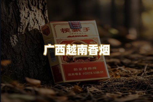广西越南香烟